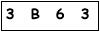 salt-81E48038