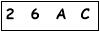 salt-535EE634
