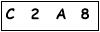 salt-201CC4BC