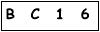salt-66E6256B