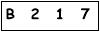 salt-55437CC0