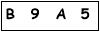 salt-BB249A08