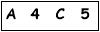 salt-5195B6C4