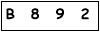 salt-961FA047