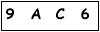 salt-BC058906