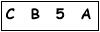 salt-08B9C545