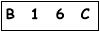 salt-8C4B0548
