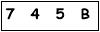 salt-B19C4693